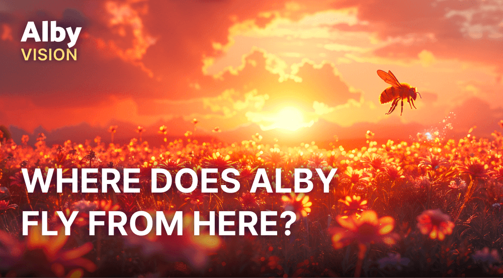 Where Does Alby Fly From Here?