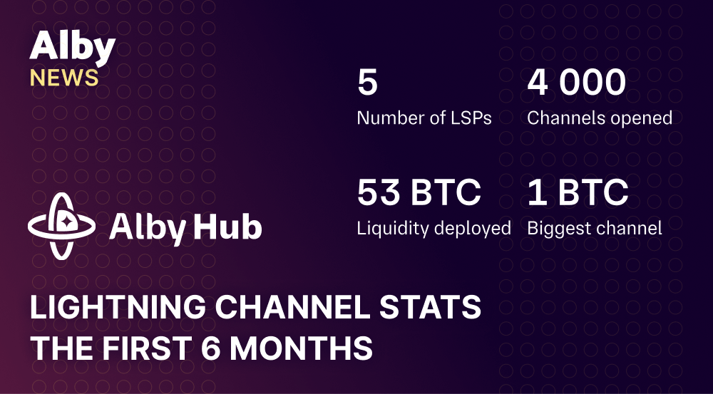 Lightning Channel Stats: The first 6 months